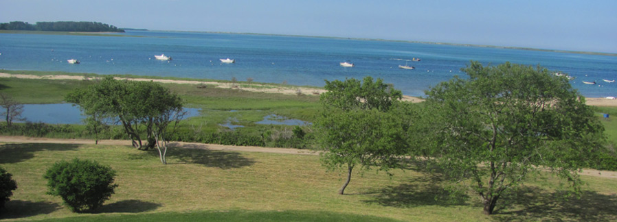 Chatham Cape Cod Real Estate from Pine Acres Realty